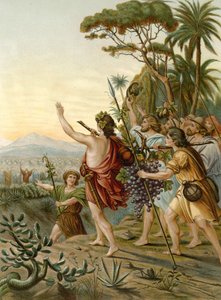 Le spie della terra di Canaan