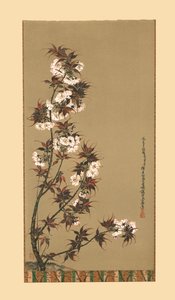I fiori di ciliegio di Mikawa da Wilhelm Greve