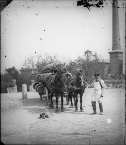 Carro del birraio
