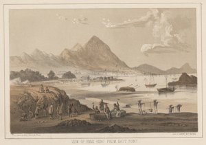 Veduta di Hong Kong da East Point, 1855 da Wilhelm Joseph Heine