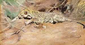Un leopardo da Wilhelm Kuhnert
