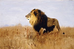 Leone in Attesa della Preda da Wilhelm Kuhnert