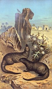 Il ratto dei faraoni da Wilhelm Kuhnert