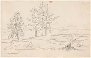 Paesaggio svedese da Wilhelm Marstrand