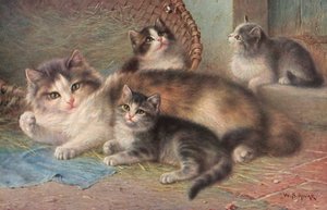 Cartolina del gatto da Wilhelm Schwar