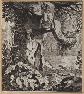 Il Matto Audace da Wilhelm Stettler