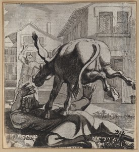 Il folle che si vanta della sua autorità da Wilhelm Stettler