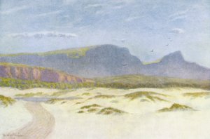 Dune di sabbia