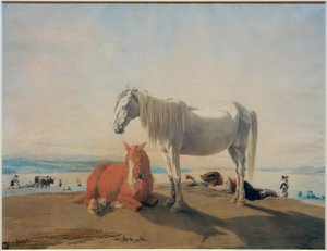 Cavalli al pascolo sul lago di Starnberg da Wilhelm von Kobell