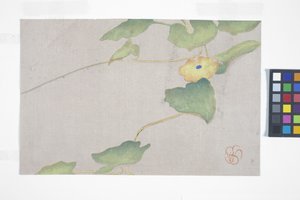 Studio di fiori, c.1908 da Wilhelmina Seegmiller