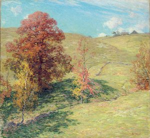 La quercia rossa