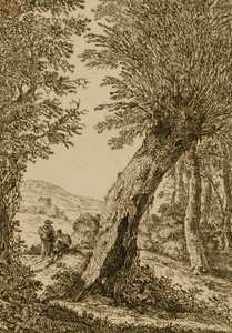 Paesaggio con salice da Willem Bemmel