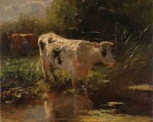 Mucca accanto a un fossato
