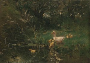 Anatroccoli da Willem Maris