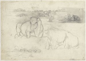 Schizzi di mucche da Willem Maris