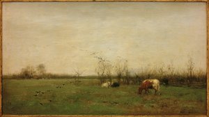 Paesaggio di pascolo