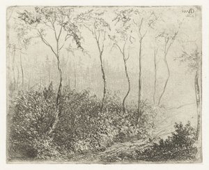 Paesaggio boschivo da Willem Matthias Jan van Dielen