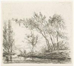Paesaggio con alberi vicino all