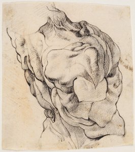 Studio anatomico (écorché). Torso di un uomo scuoiato visto da dietro mezzo girato a destra da Willem Panneels