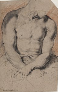 Cristo coronato di spine. Il torso di Cristo. Dopo Van Dyck da Willem Panneels