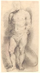 Vista Frontale di una Figura Maschile