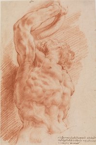 Laocoonte. Il torso di Laocoonte visto dal basso a destra da Willem Panneels