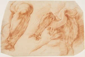 Laocoonte. Studi del braccio sinistro di Laocoonte e del dorso del suo torso visto da sinistra e da sotto da Willem Panneels