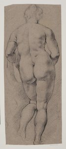 Nudo femminile in piedi visto di spalle