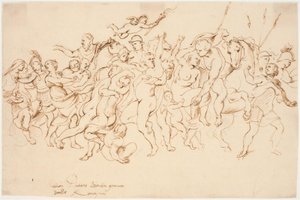 Il ratto delle Sabine da Willem Panneels