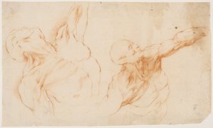 Due studi anatomici (écorchés). Torso scorticato di un uomo, il braccio sinistro alzato