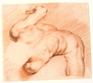 Lottatori. Gruppo scultoreo antico. Figura superiore da Willem Panneels