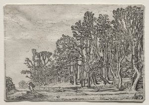 Il set dei paesaggi: Due siepi di tavole da Willem Pietersz Buytewech