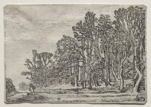 Il set dei paesaggi: Due siepi di tavole da Willem Pietersz Buytewech
