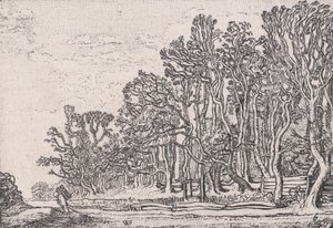 Due siepi di assi, da Verscheyden Landtschapjes Various Little Landscapes, Plate 6..., ca. 1616 da Willem Pietersz. Buytewech