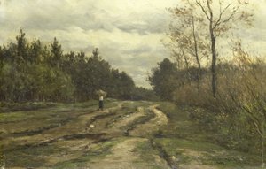 Strada di campagna vicino a Laren (Provincia dell
