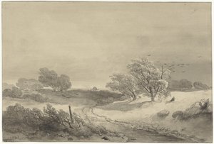 Paesaggio dunale con tempo cupo