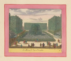 Wassermoor in den Gärten von Versailles da Willem Swidde