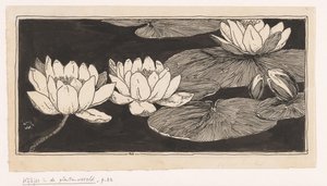 Ninfee da Ludwig Willem Reymert Wenckebach
