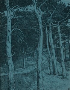 Bosco, c1912 da Willem Wenckebach