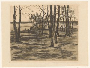 Alberi sulla riva a Valkeveen da Willem Arnoldus Witsen