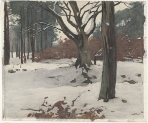 Alberi nella neve