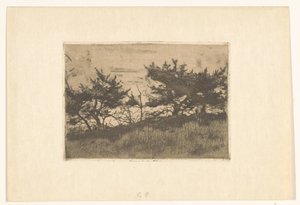 Alberi su una collina