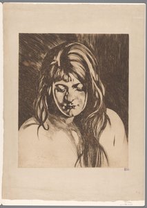 Testa di una donna con capelli sciolti da Willem Arnoldus Witsen