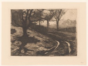 Paesaggio con alberi e recinzione