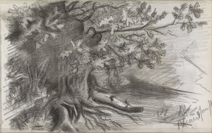 Paesaggio con un grande albero a Rhenen
