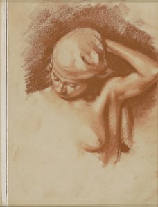 Nudo femminile con braccio sinistro alzato da Willem Arnoldus Witsen
