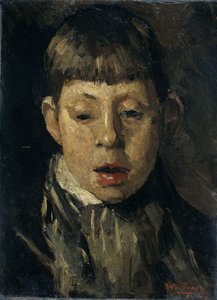 Testa di ragazzo