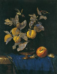 Natura morta con frutta