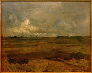 Paesaggio nel Brabante Settentrionale