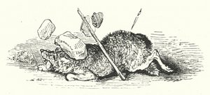 La morte del lupo
